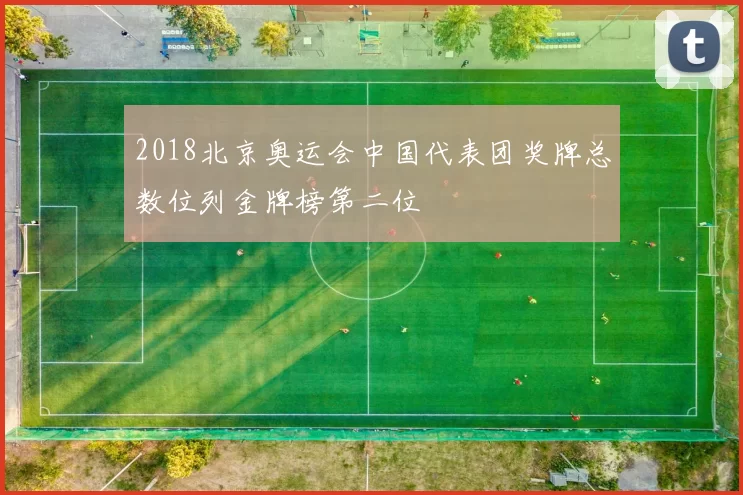 2018北京奥运会中国代表团奖牌总数位列金牌榜第二位