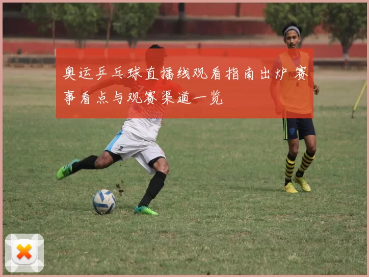 奥运乒乓球直播线观看指南出炉 赛事看点与观赛渠道一览