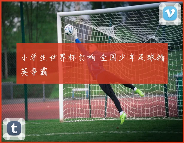 小学生世界杯打响 全国少年足球精英争霸